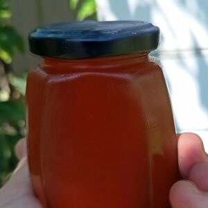Stingless bee honey